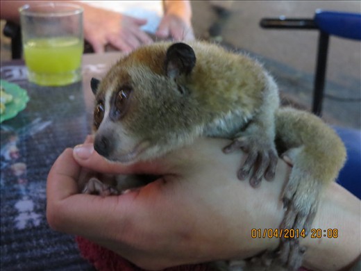 Our new friend at the bar!