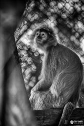 by krash, Views[265]