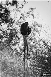 by krash, Views[243]