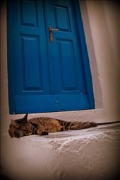 by kristietheglobetrotter, Views[265]