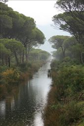 by kristinadenmark, Views[321]