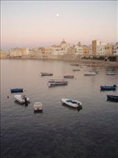 by kristinadenmark, Views[237]