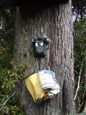 by kristinadenmark, Views[217]