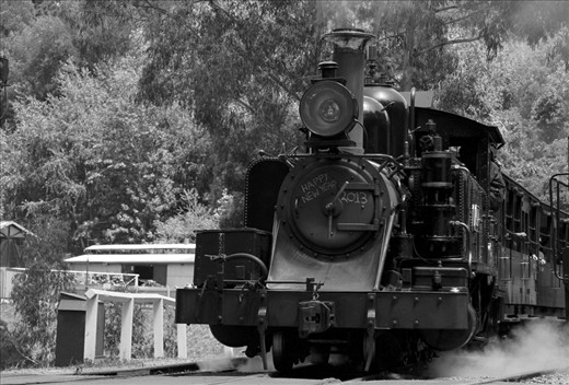 Today the Puffing Billy runs as a popular Dandenong Ranges tourist attraction
