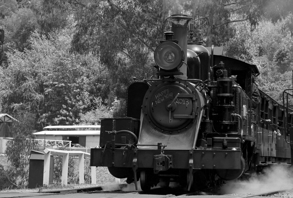 Today the Puffing Billy runs as a popular Dandenong Ranges tourist attraction