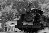 Today the Puffing Billy runs as a popular Dandenong Ranges tourist attraction: by kristytaylor, Views[302]