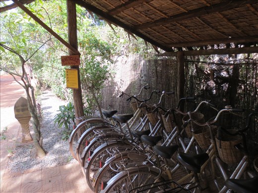 Free bikes to explore Bikes