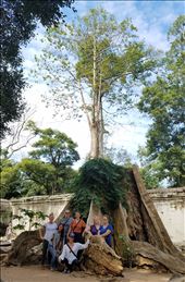 Group tree: by krock970, Views[222]