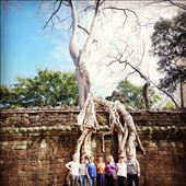 Other side of Snake Tree: by krock970, Views[458]