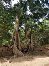 More trees again: by krock970, Views[388]