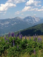 by krodin, Views[386]