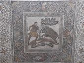 by krodin, Views[403]