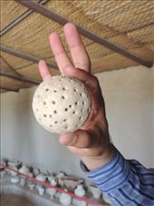 by krodin, Views[406]