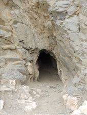 by krodin, Views[339]