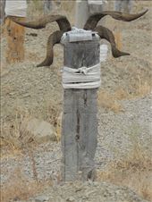 by krodin, Views[446]