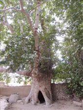 by krodin, Views[420]