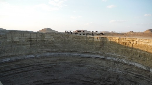 Mud crater with local wildlife
