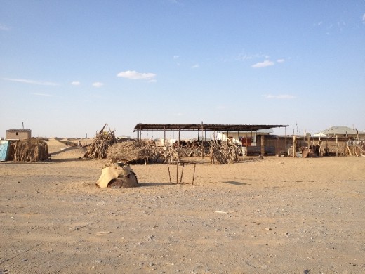 rural Turkmeni desert village