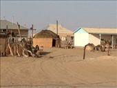 rural Turkmeni desert village: by krodin, Views[588]
