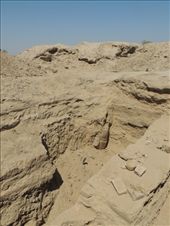 by krodin, Views[495]