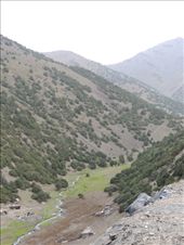 by krodin, Views[457]