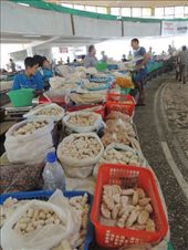 by krodin, Views[320]