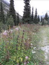 by krodin, Views[363]