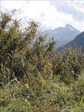 by krodin, Views[402]