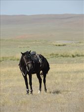 by krodin, Views[365]