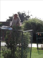 by krodin, Views[402]