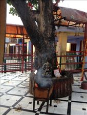 by krodin, Views[398]