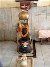 by krodin, Views[346]