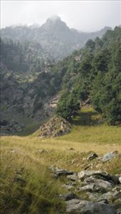 by krodin, Views[396]