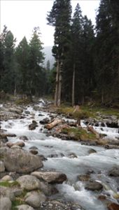 by krodin, Views[315]