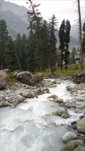 by krodin, Views[373]