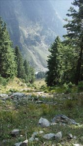 by krodin, Views[506]