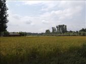 by krodin, Views[322]