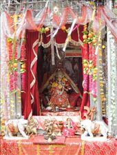 by krodin, Views[398]