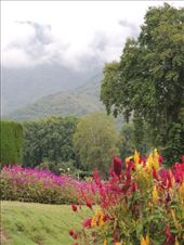 by krodin, Views[331]