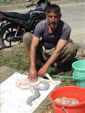 by krodin, Views[185]