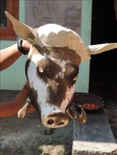 by krodin, Views[369]