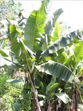 by krodin, Views[400]