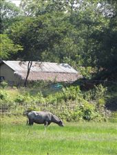 by krodin, Views[381]