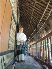 by krodin, Views[490]