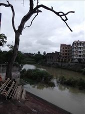 by krodin, Views[624]