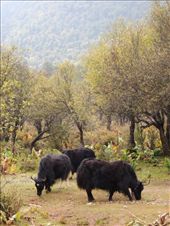 by krodin, Views[366]