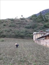 by krodin, Views[406]