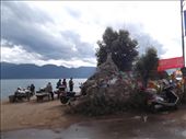 by krodin, Views[426]