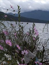 by krodin, Views[420]