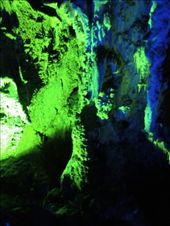 by krodin, Views[202]